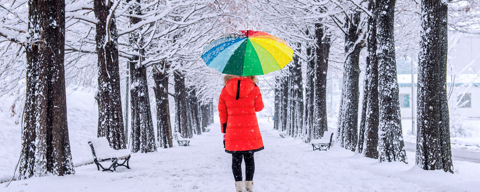 Umbrella